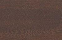 TECKENTRUP - Night Oak