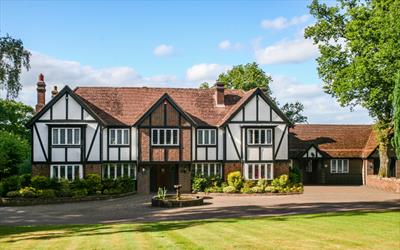 Mock Tudor